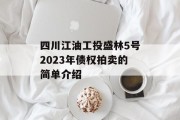 四川江油工投盛林5号2023年债权拍卖的简单介绍