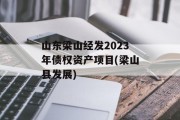 山东梁山经发2023年债权资产项目(梁山县发展)