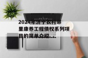 2024年济宁农村邻里康养工程债权系列项目的简单介绍