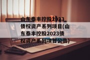 山东泰丰控股2023债权资产系列项目(山东泰丰控股2023债权资产系列项目公告)