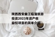 陕西西安曲江临潼旅游投资2023年资产收益权项目的简单介绍