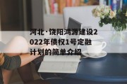 河北·饶阳鸿源建设2022年债权1号定融计划的简单介绍