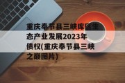 重庆奉节县三峡库区生态产业发展2023年债权(重庆奉节县三峡之巅图片)