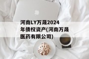 河南LY万晟2024年债权资产(河南万晟医药有限公司)