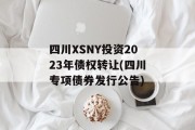 四川XSNY投资2023年债权转让(四川专项债券发行公告)