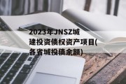 2023年JNSZ城建投资债权资产项目(各省城投债余额)