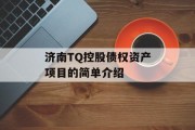 济南TQ控股债权资产项目的简单介绍