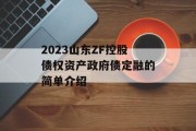 2023山东ZF控股债权资产政府债定融的简单介绍