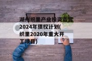 湖州织里产业投资运营2024年债权计划(织里2020年重大开工项目)