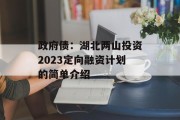 政府债：湖北两山投资2023定向融资计划的简单介绍