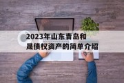 2023年山东青岛和晟债权资产的简单介绍