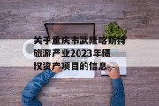 关于重庆市武隆喀斯特旅游产业2023年债权资产项目的信息