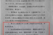 包含山东潍坊滨海新城城投债权1号、2号的词条
