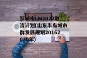 邹城市LM2022融资计划(山东半岛城市群发展规划20162030年)