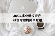 JNGC实业债权资产政信定融的简单介绍