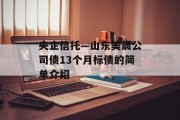 央企信托—山东美晨公司债13个月标债的简单介绍