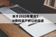 关于2023年重庆TN债权资产转让的信息