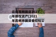 云南昆明国资2023年债权资产(2021年昆明市国资委招标公告)