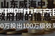 关于山东威海中基债权1号政府债的信息