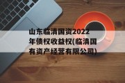 山东临清国资2022年债权收益权(临清国有资产经营有限公司)