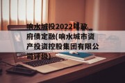 响水城投2022年政府债定融(响水城市资产投资控股集团有限公司评级)