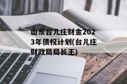 山东台儿庄财金2023年债权计划(台儿庄财政局局长王)