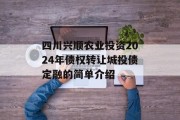 四川兴顺农业投资2024年债权转让城投债定融的简单介绍