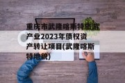 重庆市武隆喀斯特旅游产业2023年债权资产转让项目(武隆喀斯特地貌)