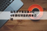 山东济宁鱼台县2024年债权项目的简单介绍