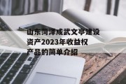 山东菏泽成武文亭建设资产2023年收益权产品的简单介绍