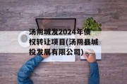 汤阴城发2024年债权转让项目(汤阴县城投发展有限公司)