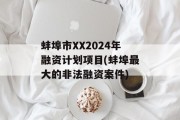 蚌埠市XX2024年融资计划项目(蚌埠最大的非法融资案件)