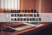 2022年兴鱼投资建设定向融资计划(山东兴鱼投资建设有限公司)