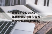 山东ZF控股2023年债权资产(山东省发债企业风险监控报告)