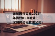 四川国兴实业2023年债权01-03(武汉国兴出租有限公司)