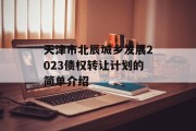 天津市北辰城乡发展2023债权转让计划的简单介绍
