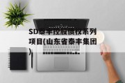 SD泰丰控股债权系列项目(山东省泰丰集团)
