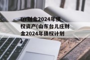DY财金2024年债权资产(山东台儿庄财金2024年债权计划)