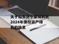 关于山东济宁邹城利民2024年债权资产项目的信息