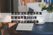 包含武汉阳逻经济开发区建设开发2023年债权转让计划的词条