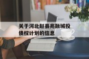 关于河北赵县兆融城投债权计划的信息