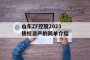 山东ZF控股2023债权资产的简单介绍