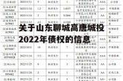 关于山东聊城高唐城投2022年债权的信息