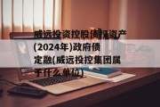 威远投资控股债权资产(2024年)政府债定融(威远投控集团属于什么单位)