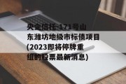 央企信托-171号山东潍坊地级市标债项目(2023即将停牌重组的股票最新消息)