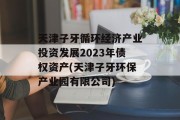 天津子牙循环经济产业投资发展2023年债权资产(天津子牙环保产业园有限公司)
