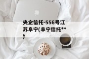 央企信托-556号江苏阜宁(阜宁信托***
)