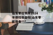 山东枣庄物环2024年债权收益权(山东枣庄债券***
)