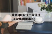 陕西QH天汉一号信托(天汉集团董事长)