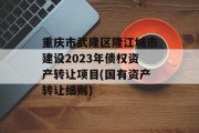 重庆市武隆区隆江城市建设2023年债权资产转让项目(国有资产转让细则)